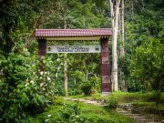 20080604-P6041980-Sumatra2008