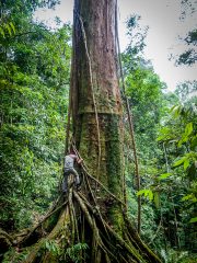 20080604-P6042056-Sumatra2008