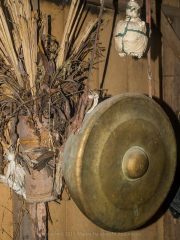 Siberut 2011 visit