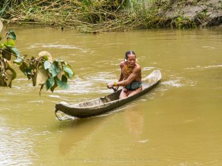 Siberut 2011 visit
