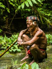 Siberut 2011 visit