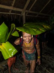 Siberut 2011 visit