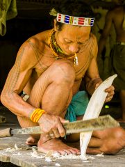 Siberut 2011 visit
