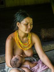 Siberut 2011 visit