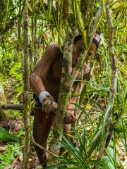 Siberut 2011 visit