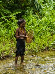 Siberut 2011 visit