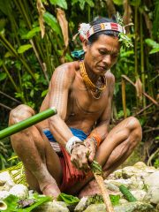 Siberut 2011 visit