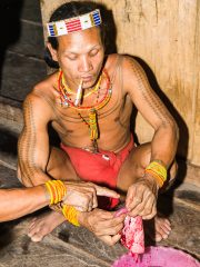 Siberut 2011 visit
