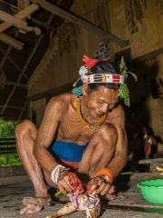 Siberut 2011 visit