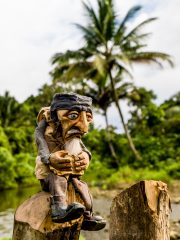 Siberut 2011 visit