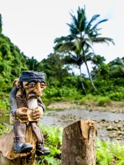 Siberut 2011 visit
