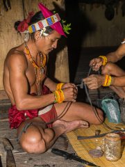 Siberut 2011