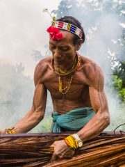 Siberut 2011