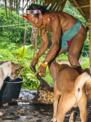 Siberut 2011