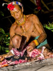 Siberut 2011