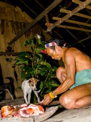 Siberut 2011