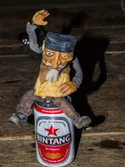 Siberut 2011