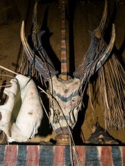 Siberut 2011 visit