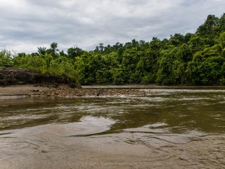 Siberut 2011 visit