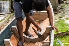 Siberut 2011 visit