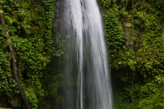 Siberut 2011 visit