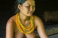 Siberut 2011 visit