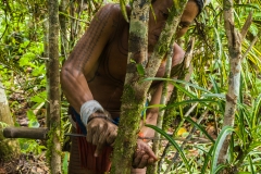 Siberut 2011 visit