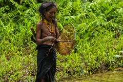 Siberut 2011 visit