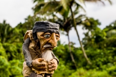 Siberut 2011 visit