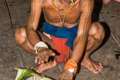 Siberut 2011