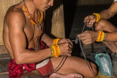 Siberut 2011