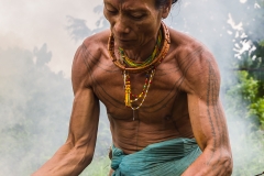 Siberut 2011
