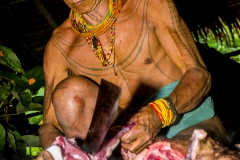 Siberut 2011