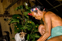 Siberut 2011