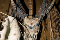 Siberut 2011 visit