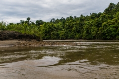 Siberut 2011 visit