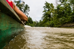 Siberut 2011 visit